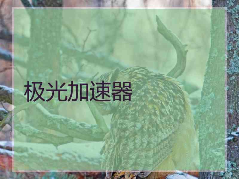 极光加速器 极光加速器