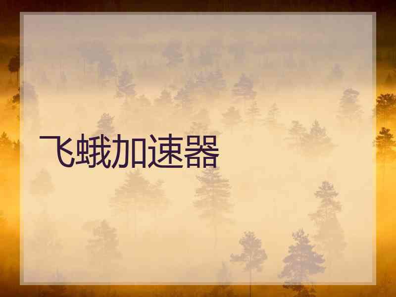 飞蛾加速器 飞蛾加速器