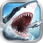 ins账号大全带密码