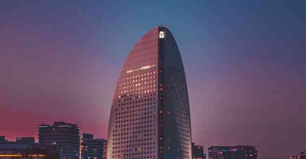 蜂巢加速器网站