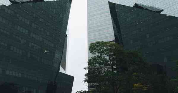 手机网络加速器