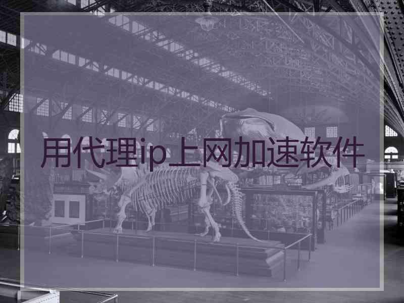 用代理ip上网加速软件