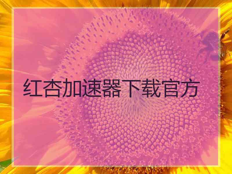 红杏加速器下载官方